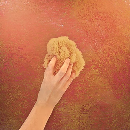 Unbleached Natural Sea Sponges for Artists 2pk (2 Count)