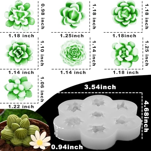 Succulent Candle Mold