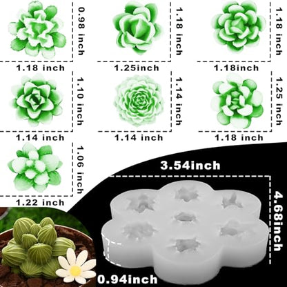 Succulent Candle Mold