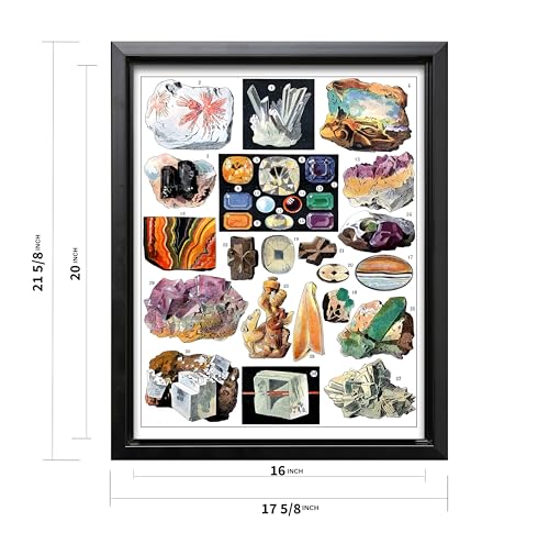 Vintage Geology Canvas