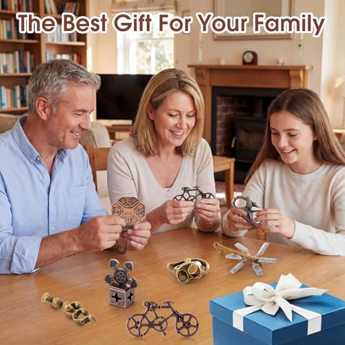 9 Pcs Metal Brain Teasers 3D Steel Puzzle Set (9 Count)