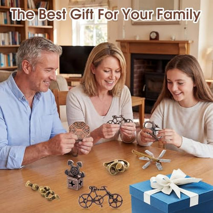 9 Pcs Metal Brain Teasers 3D Steel Puzzle Set (9 Count)