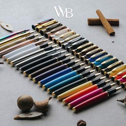 Luxury Fountain Pen Set for Writing