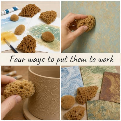 Natural Sea Sponges 10pk for Artists (10 Count)