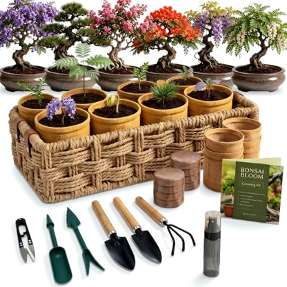 8 Pack Bonsai Tree Kit with Complete Tools (40 Count)