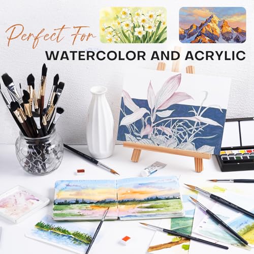 Triangle Wedge Paint Brushes Set