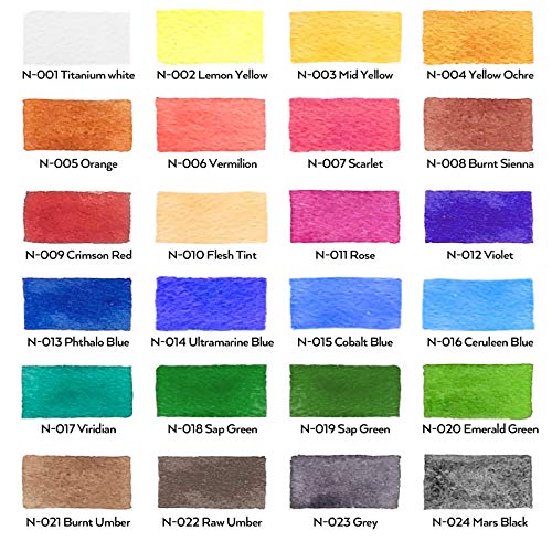 Watercolor Paint Set for Adults (9.73 Fl Oz)