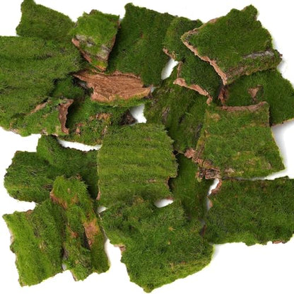 Assorted Artificial Moss Bark
