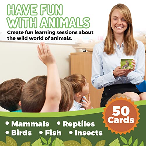50 Animal Flash Cards