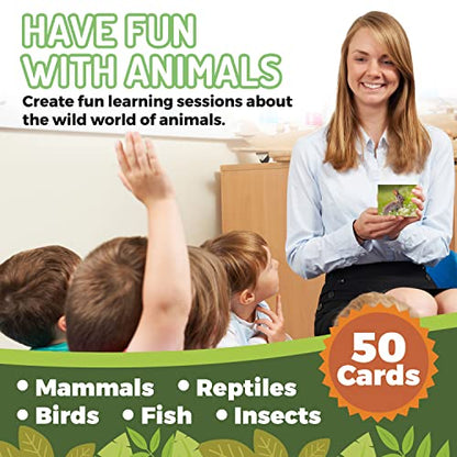 50 Animal Flash Cards