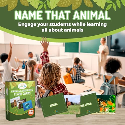 100 Animal Insect & Ocean Creatures Real Picture Flash Cards