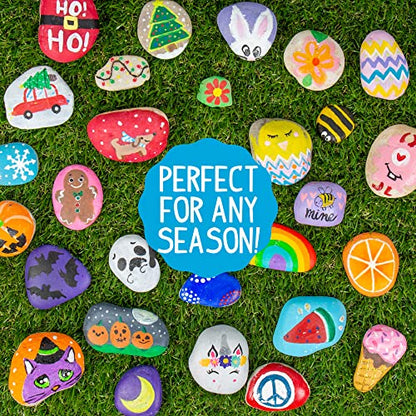Rock Art Kit Rock Painting Arts and Crafts Kit