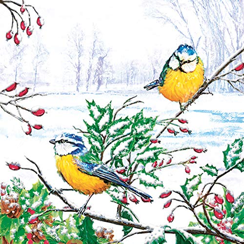 20 ct 13x13 Christmas Paper Decoupage Napkins (20 Count)