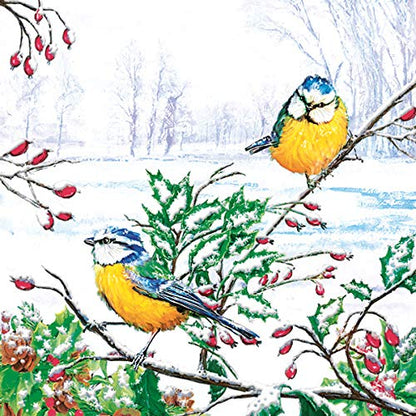 20 ct 13x13 Christmas Paper Decoupage Napkins (20 Count)