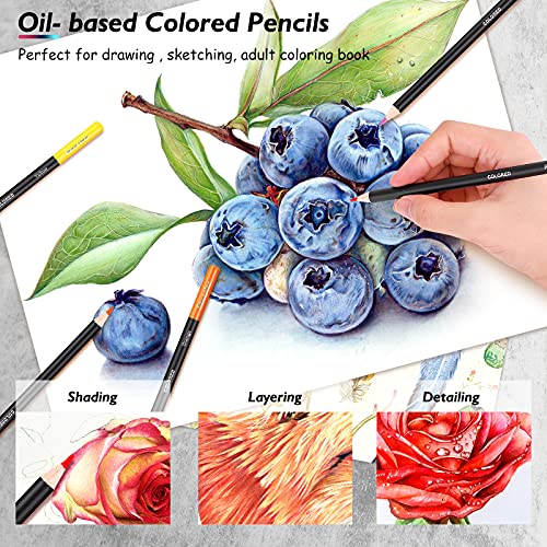 73Pcs Art Supplies Drawing Kit Sketch Pencils Set Adults Gift (73 Count)