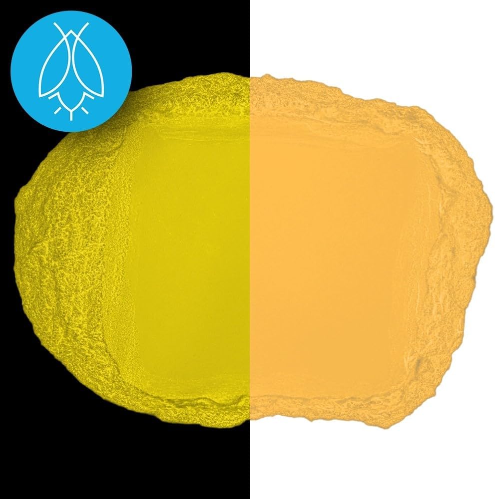 Glow in The Dark Pigment Powder - Neutral and Fluorescent Color for Art Painting, Fine Art, Nail Art Paint, and DIY Crafts - Long Lasting 10+ Color Options - Fluorescent Orange - (30 Grams/1 Ounce)