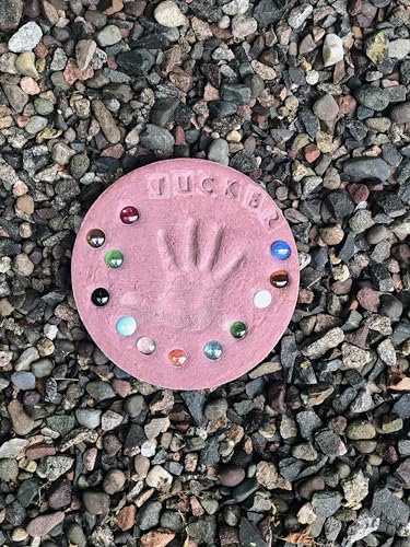 DIY Stepping Stone Kit with Color Pigment