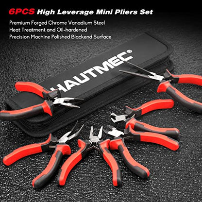 6PCS Mini Pliers Set High Leverage Multi Small Pliers Tool Set with Small Needle Nose Pliers Set (6 Count)