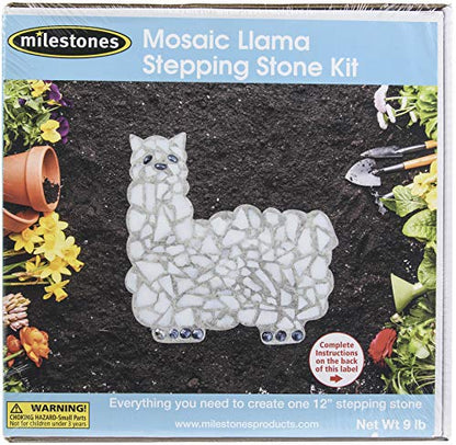 Midwest Products Mosaic Stepping Stone Kit