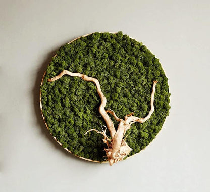 Preserved Reindeer Moss Natural Green DIY Kit Gardenning Art Wall Decor Florist Decor Easter Table Decor Wedding