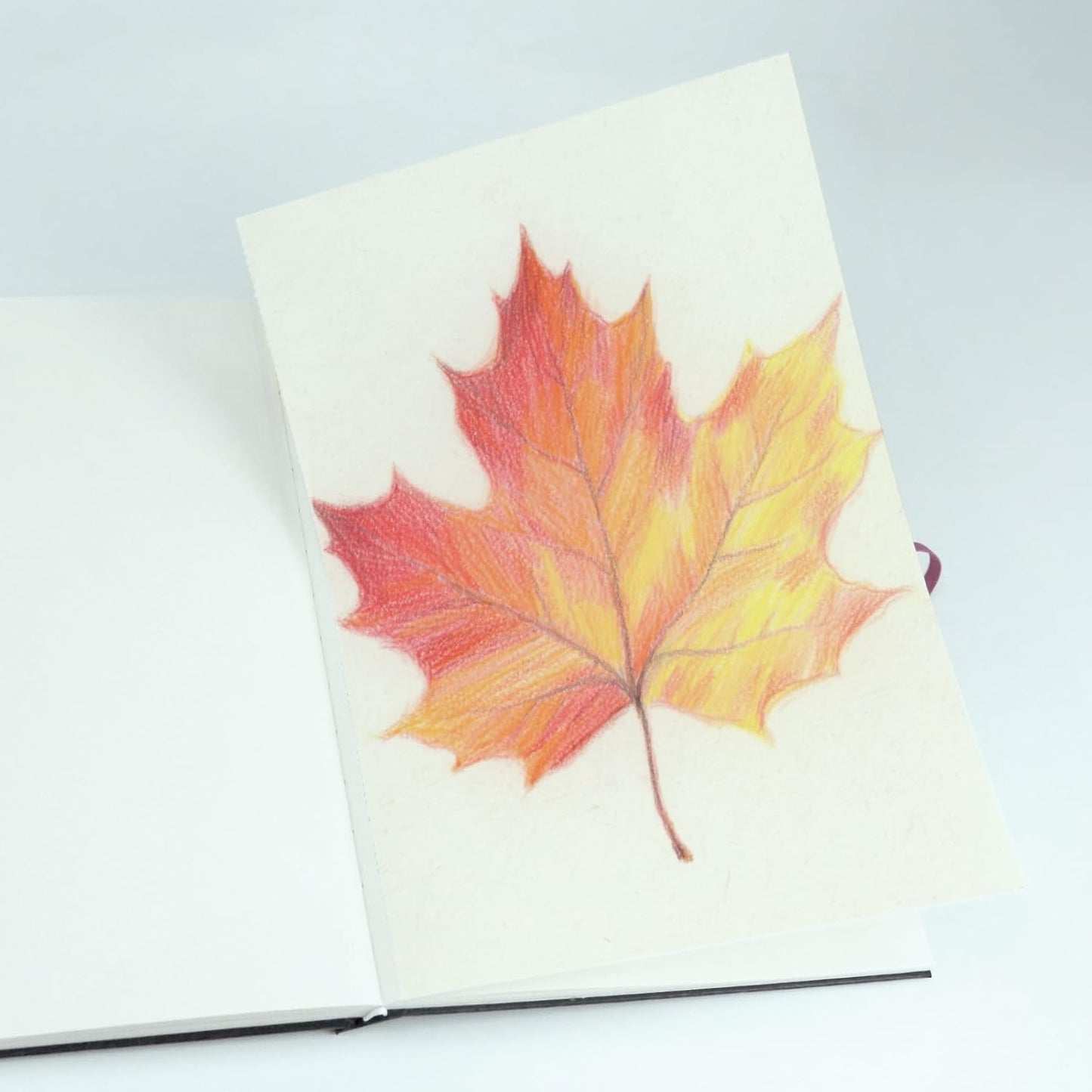 CuppaClip Sketch Book Hardcover Drawing Pad 300GSM Acid-Free Paper Spiral Bound Sketchbook 50 Sheets/100 Pages Art Supplies (Hardcover, 5.9x8.3in)
