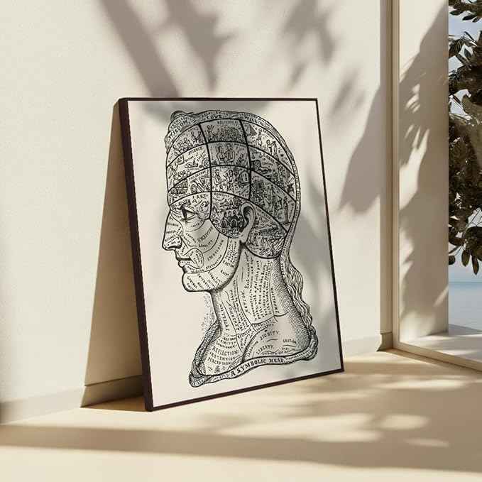 Poster Master A Symbolic Head Phrenology Print 1899 - Phrenology Canvas, Fine Art Print of a Scientific or Pseudoscience Academia Medical Illustration - 12x16 Brown Framed Canvas