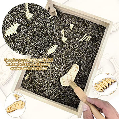 Dinosaur Excavation Archaeology Dig Kit for Kids