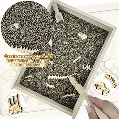 Dinosaur Excavation Archaeology Dig Kit for Kids