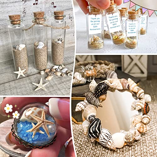 Premium Tiny Seashell Mix