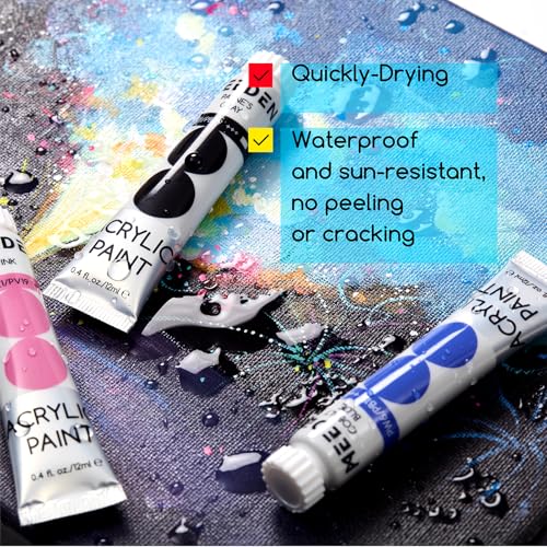 Beginners Acrylic Paint Set (20 Fl Oz)