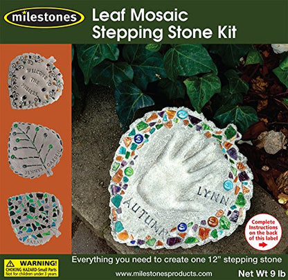 Mosaic Stepping Stone Kit