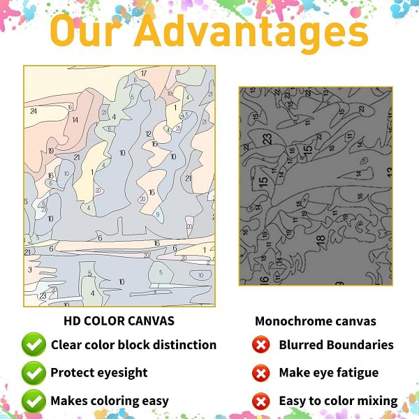 Paint by Numbers Kit for Adults Framed