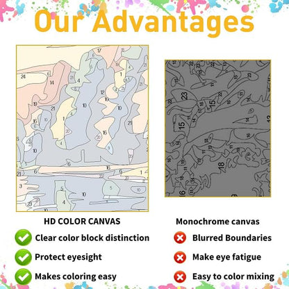 Paint by Numbers Kit for Adults Framed