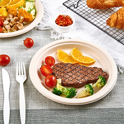500 Pack Compostable Bagasse Paper Plates 9 inch (500 Count)