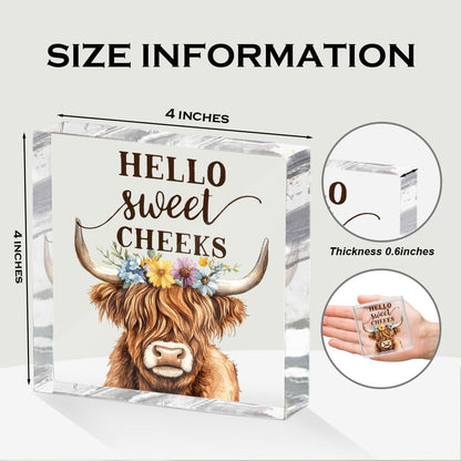 Funny Cow Decorative Signs, Rustic Western Animal with Wreath Office Desk Decor Acrylic Sign 4x4 Inch, Desk Accessories Signs for Bathroom Cubicle Farmhouse Kitchen, Cow Gifts