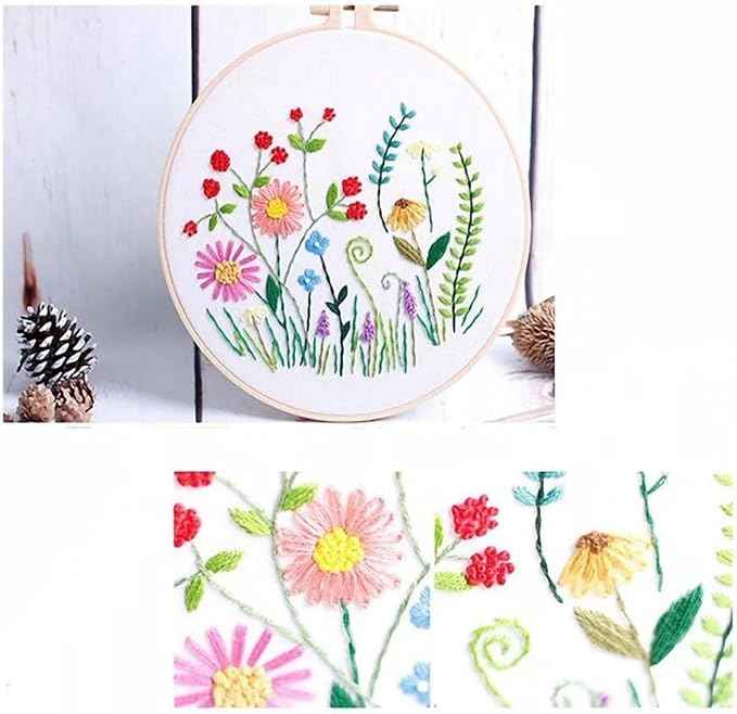 ZQB Haven Needle Point Kits Adults Full Range of Starter Including Instructions Stamped Cloth with Pattern Hoop Color Threads and Tools Art Projects(Flowers 2)