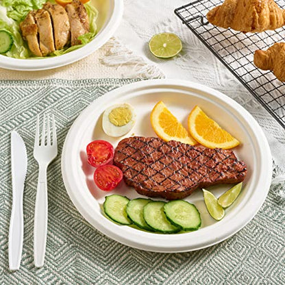 500 Pack Compostable Bagasse Paper Plates 9 inch (500 Count)