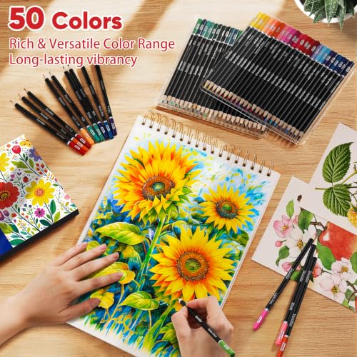 50 Colored Pencils (50 Count)