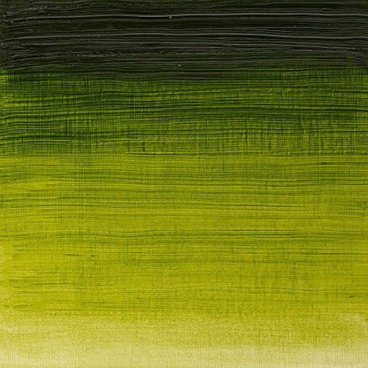 Winton Oil Color