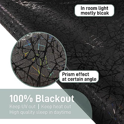 Total Blackout Window Film Privacy