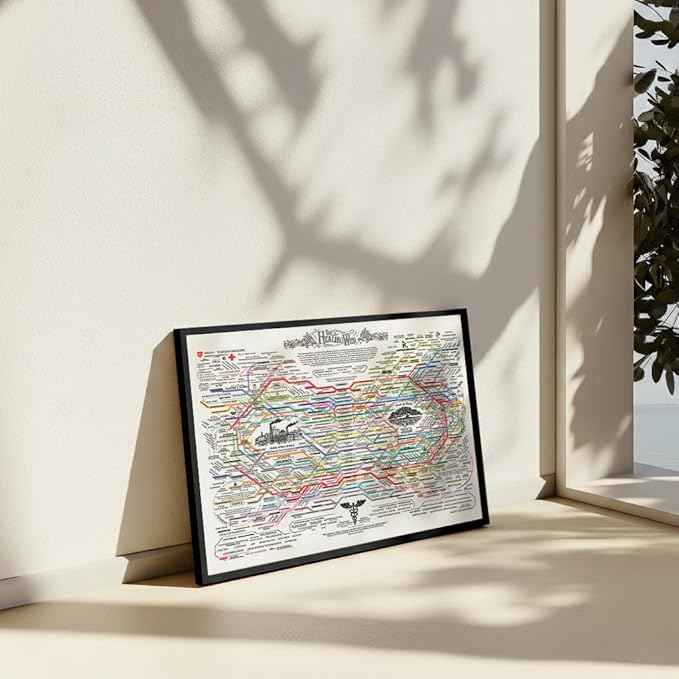 Poster Master The Healing Web Canvas - Health Diagram Print - Therapy Art - Holistic Wall Design - Pharmacological Remedy Art - Great Living Room or Office Decor - 8x10 Black Framed Canvas