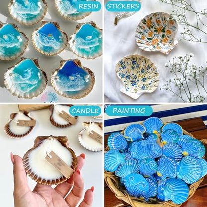 30PCS Scallop Shells for Crafts 2'' (30 Count)