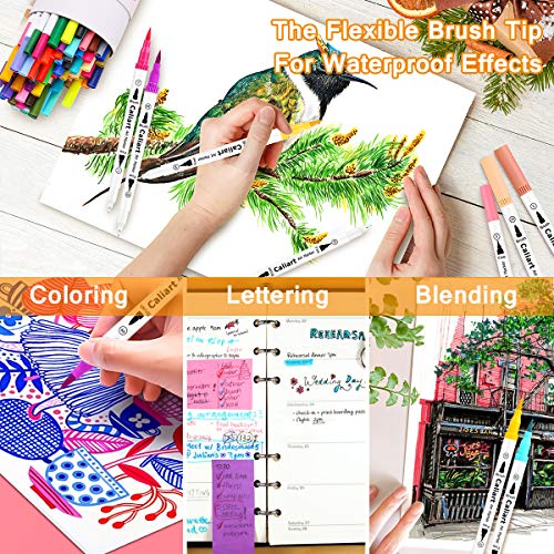 34 Double Tip Brush Pens Art Markers for Adult Coloring Books (34 Count)