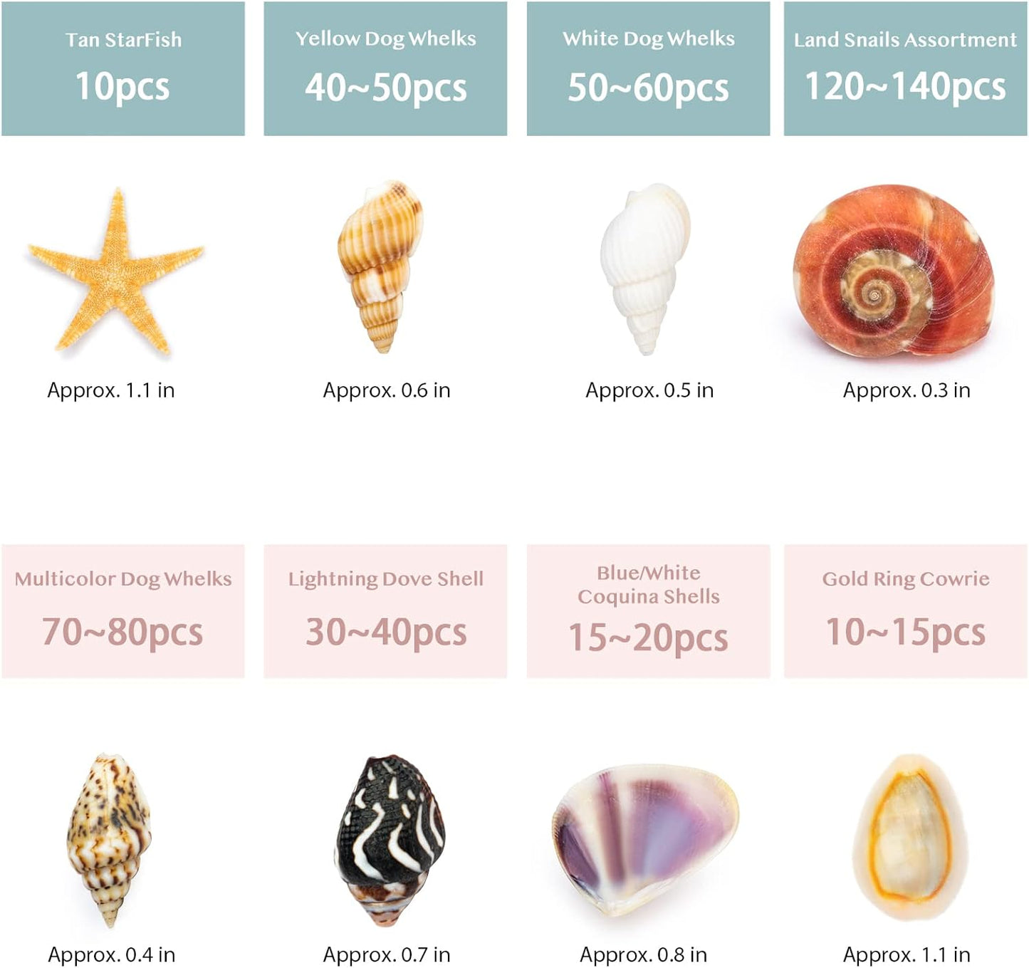 Premium Tiny Seashell Mix, Including Sea Shells, Sea Snails and Starfish Total 300+PCS (8 Kinds), Shells for Crafts Decorating Resin and Mosaics Projects DIY Crafts Home Decor Beach Themed Party