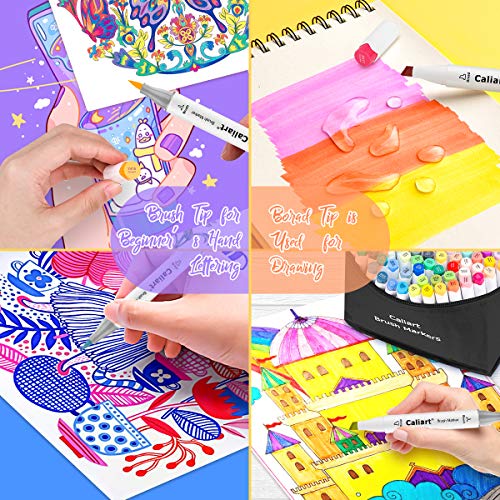 168 Colors Alcohol Markers Brush Tip & Chisel (168 Count)