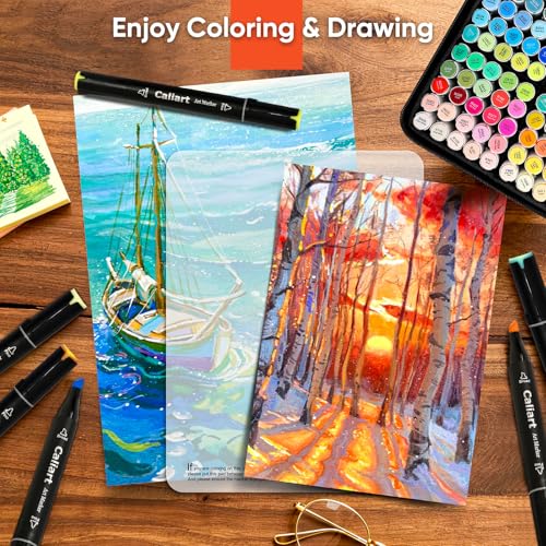100 Colors Alcohol Markers Dual Tip Art Markers for Adult Coloring