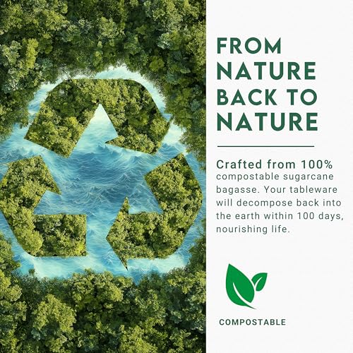 100% Compostable Oval Paper Plates 12 inch Bulk 100 Count
