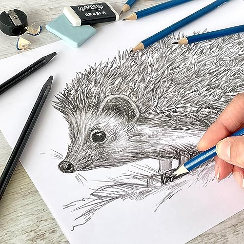 Sketch Pencils for Drawing (8 Count)