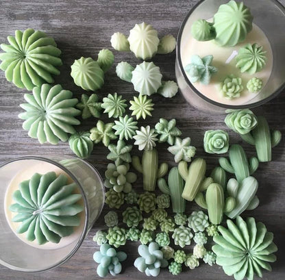9 Pack Succulent Silicone Mold