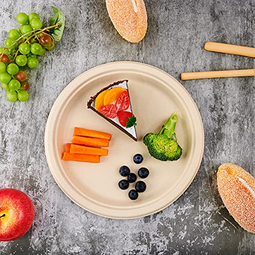 500 Pack Compostable Bagasse Paper Plates 10.25 inch (500 Count)